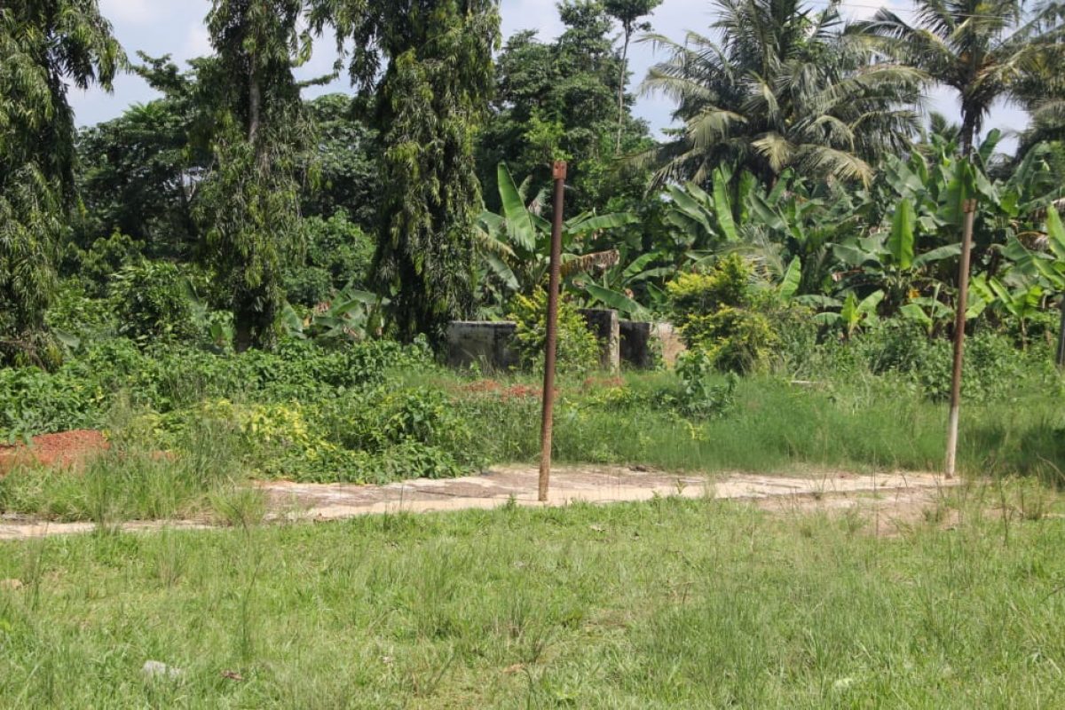 Additional Extended Land for School